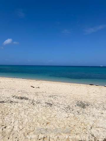 本部町備瀬のヤード用地237坪