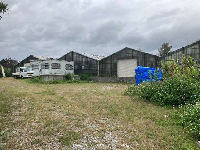 宜野座村　惣慶　9676㎡の土地