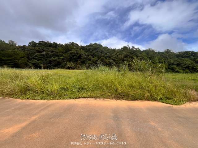 宜野座村松田の210坪の農地