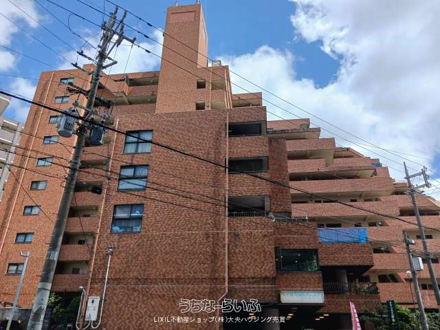 グリーンハイツ那覇 11F号