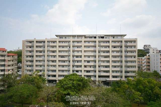 ライオンズ城岳南 802号