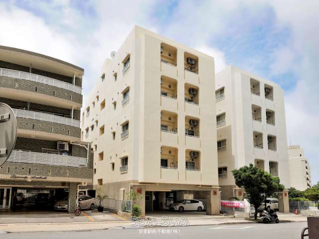 パレス新都心 503号