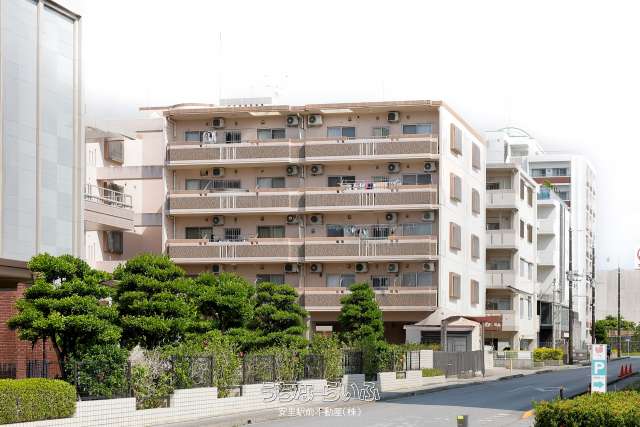 ドリームブライト21 205号