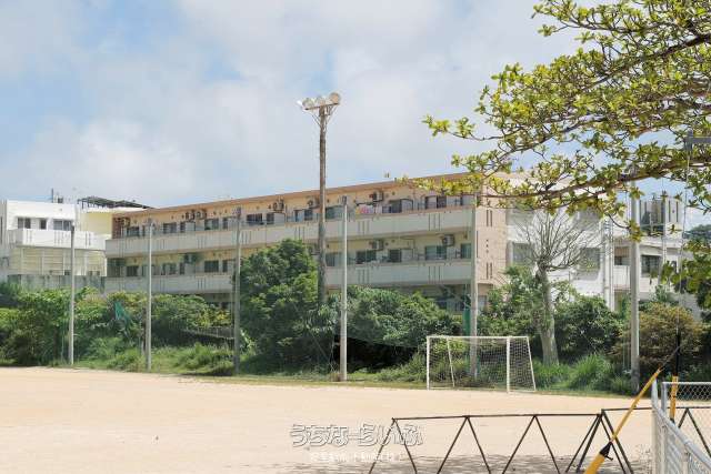 セリバルＴ・Ｓ 206号