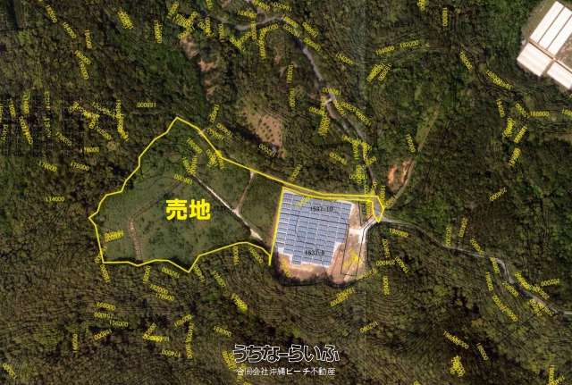 山原山林物件多数。