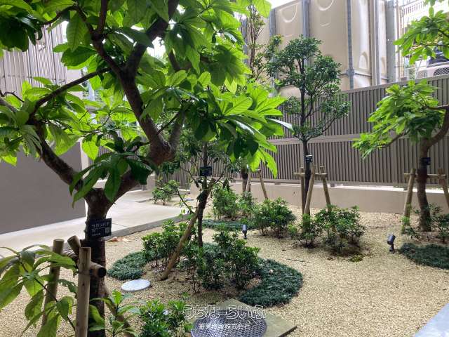 プレミスト北谷伊平 Sea&amp;Forest