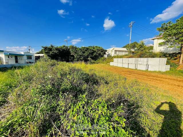 本部町野原179-3(146.41坪