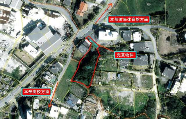 本部町野原127-1、127-3、129-3 大城弘美