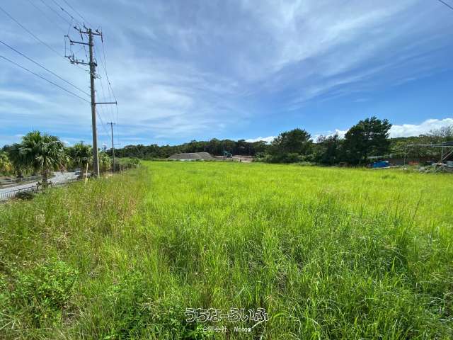 名護市字豊原土地②