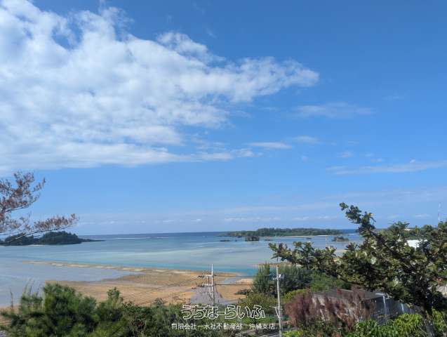 恩納村字恩納志嘉座川 4491坪