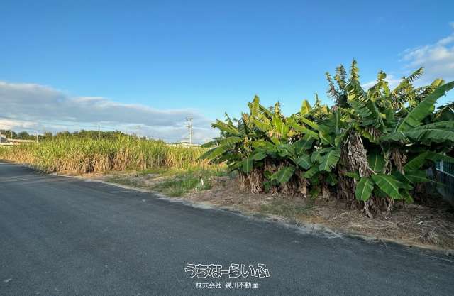 名護市字久志、７０坪売地。