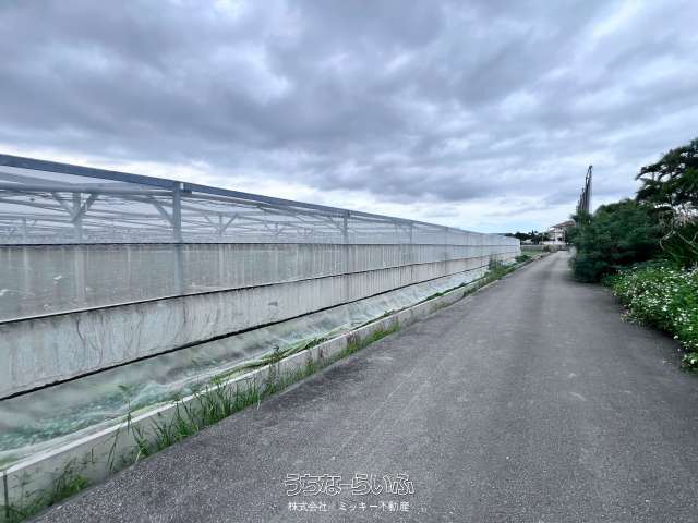 糸満市新垣売農地