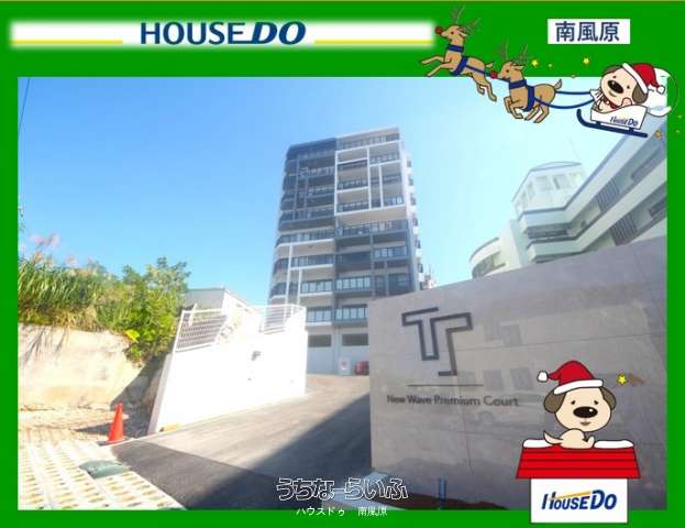 New Wave Premium Court Shikina 6--号